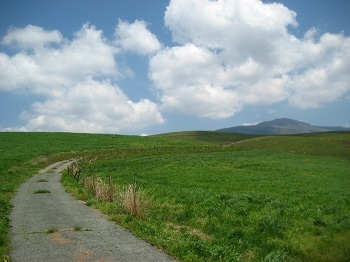 IMG_5005.jpg