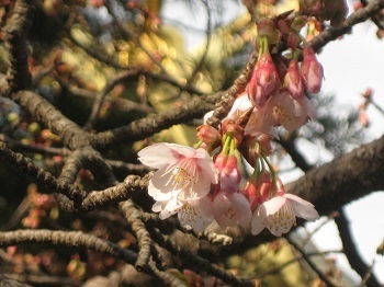IMG_5958.jpg