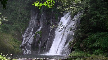 PIC_0465.jpg