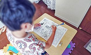 56504.jpg