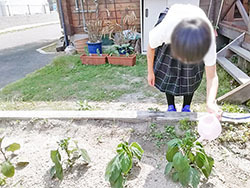 9659.jpg