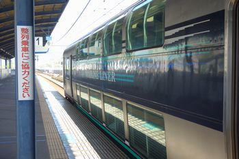 DSC00131.jpg