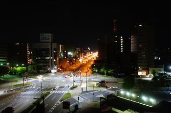 DSC01252.jpg