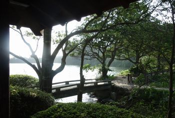 DSC01432.jpg