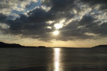 DSC03135.jpg