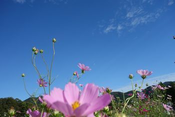DSC03268.jpg
