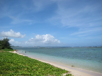IMG_2680.jpg