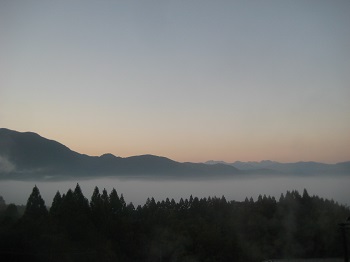 IMG_4499.jpg