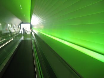 IMG_7160.jpg