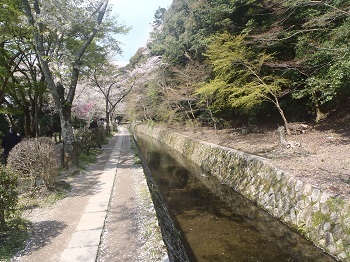 P4170195.jpg