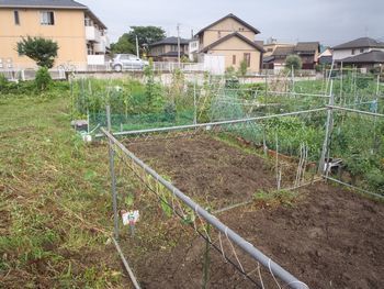 P6240005.jpg