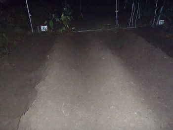 P6240020.jpg