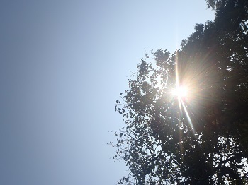 PA100040.jpg